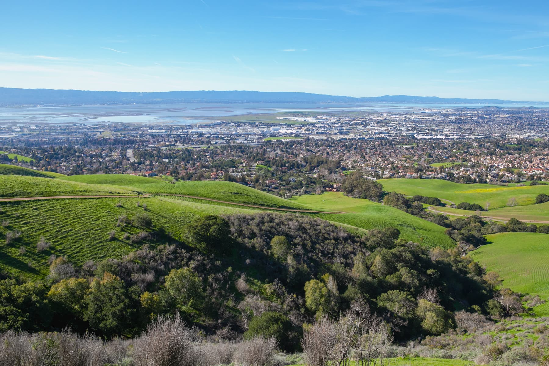 Catering services in Fremont